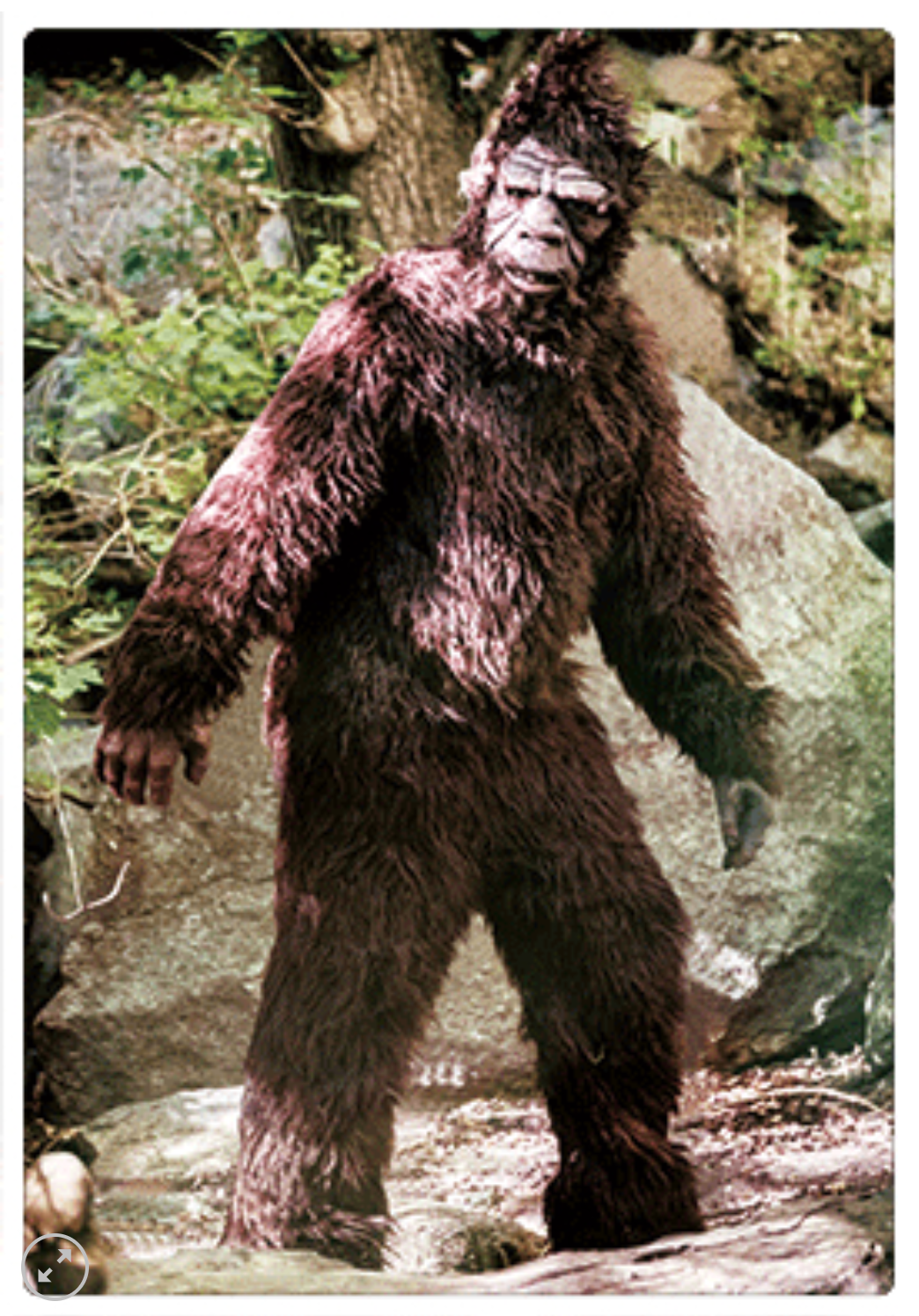 3D Bigfoot Postcard
