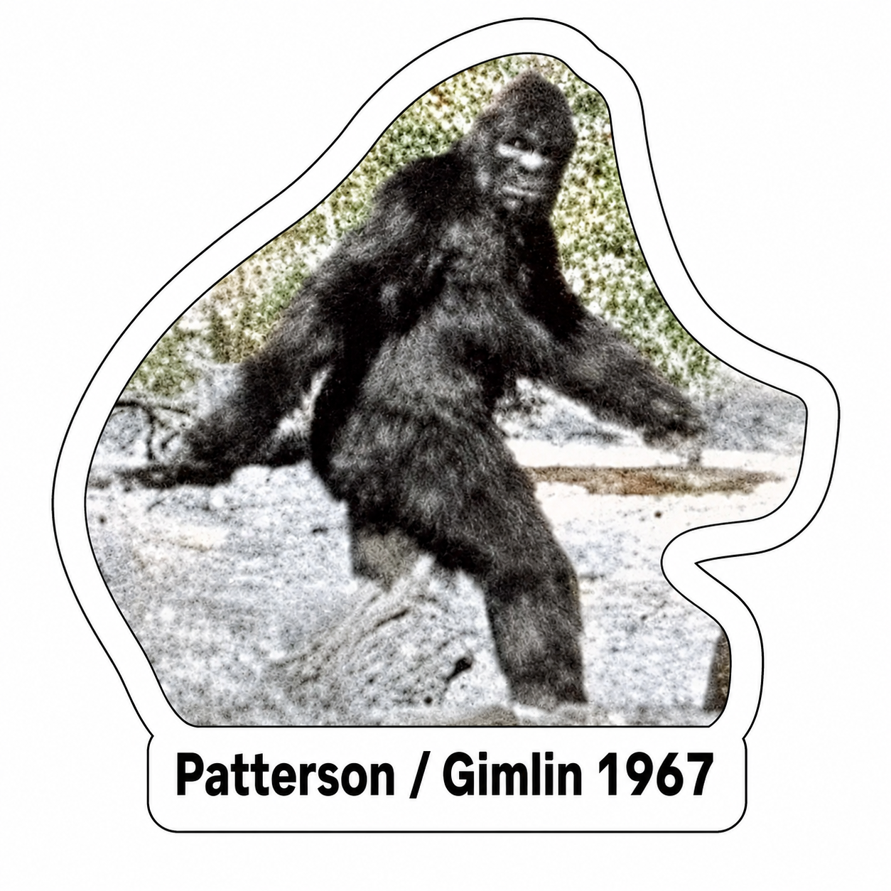 Patterson and Gimlin 1967 Sasquatch Photo Sticker