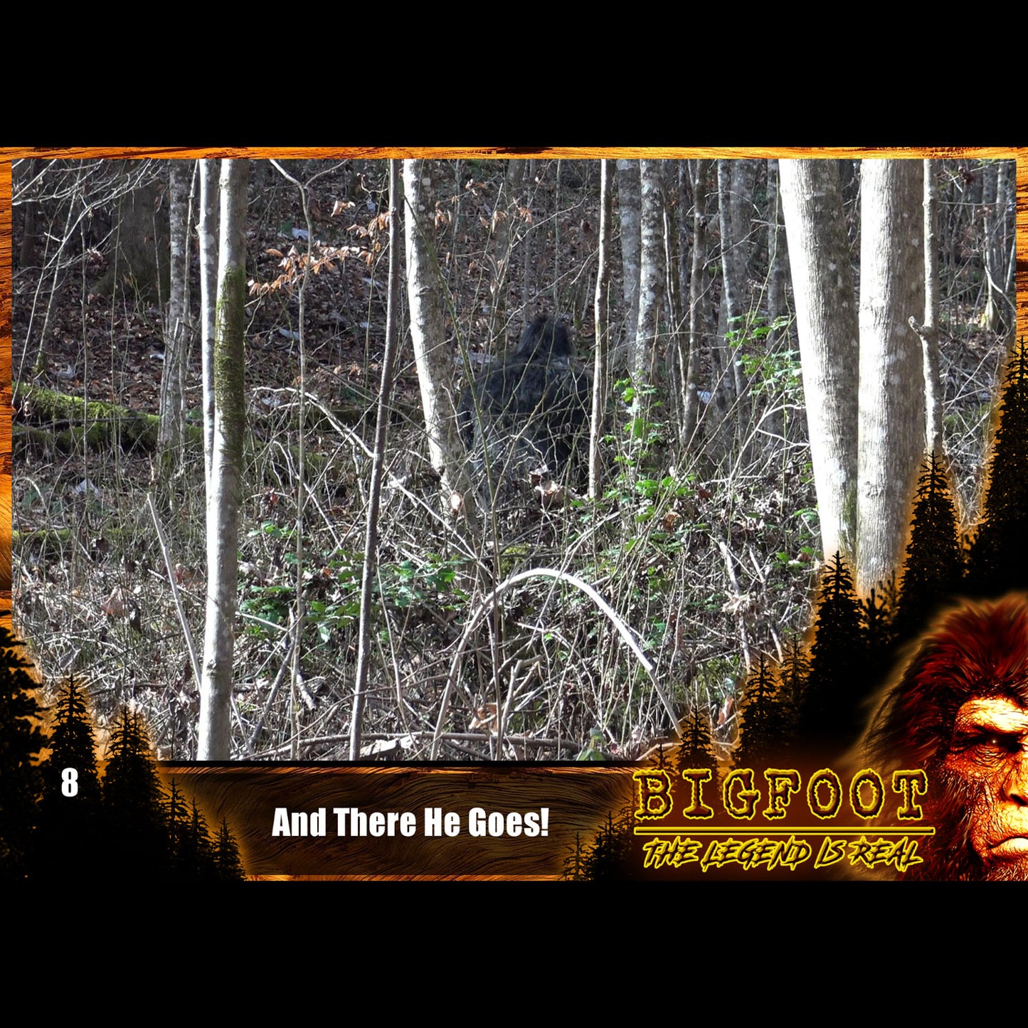 Bigfoot - The Legend is Real DVD
