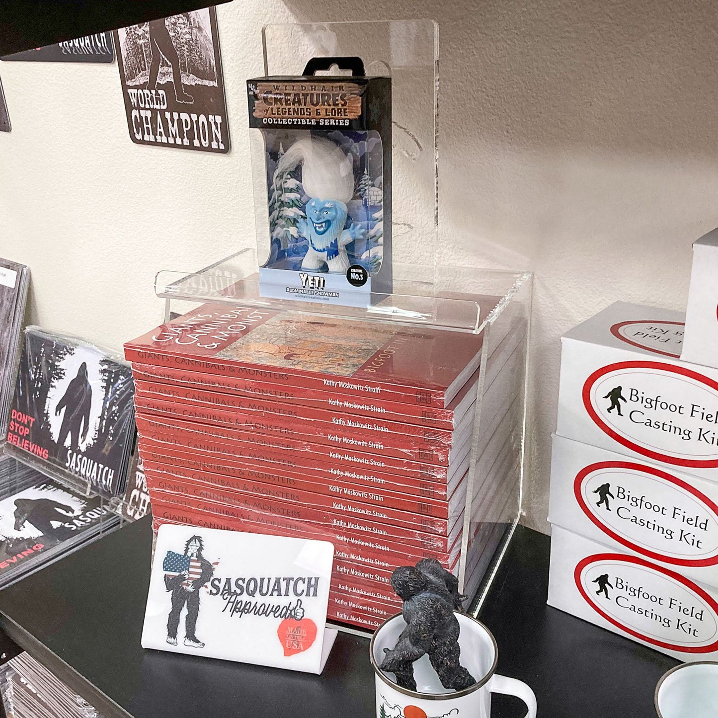 Acrylic Display Case for Books and DVDs with Custom Logo Cutout