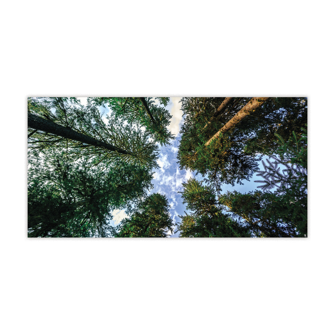 Forest Design Fluorescent Light Cover