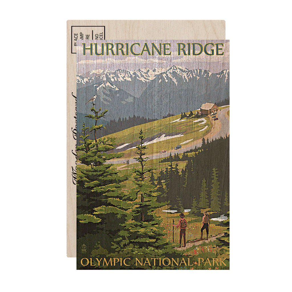 Olympic National Park WA, Hurricane Ridge Postcard - Sasquatch The Legend