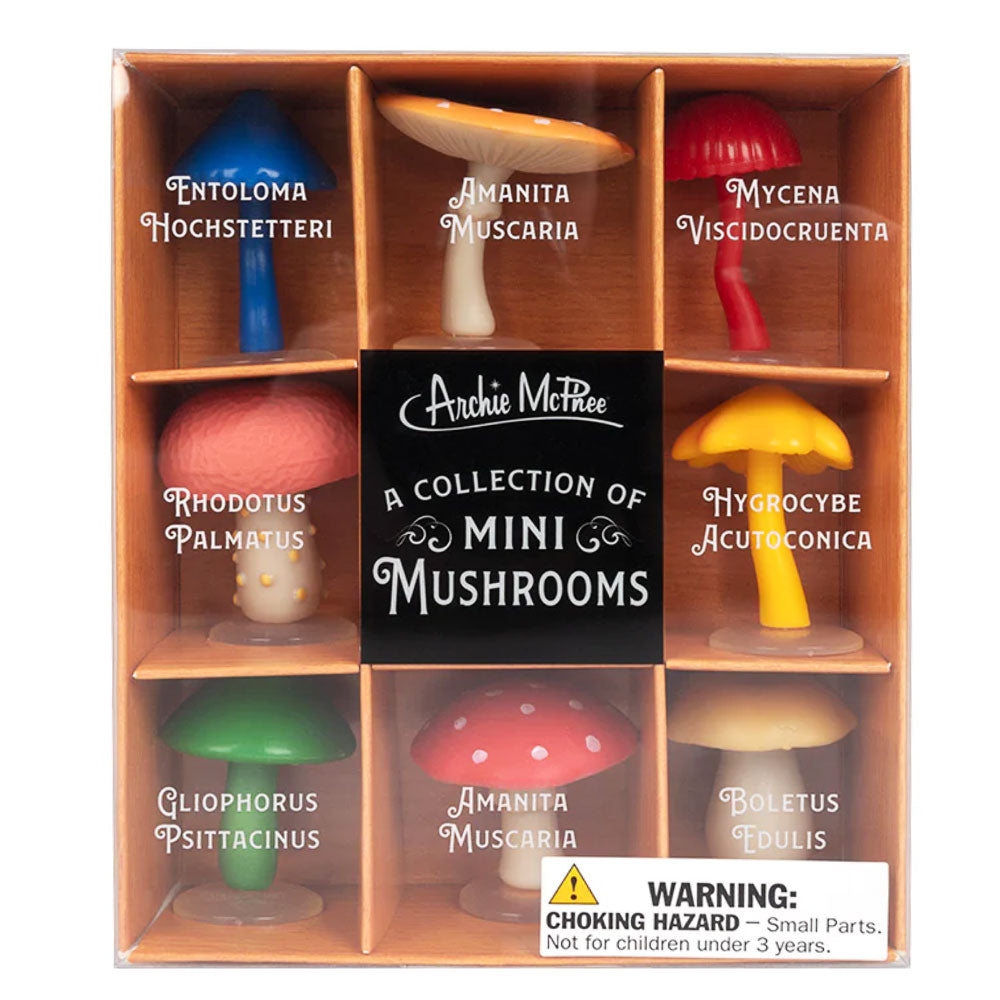 Collection of Mini Mushrooms Toy