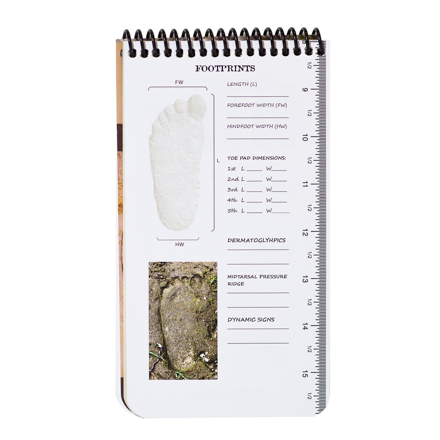 Sasquatch Expedition Log Book & Field Journal - Sasquatch The Legend