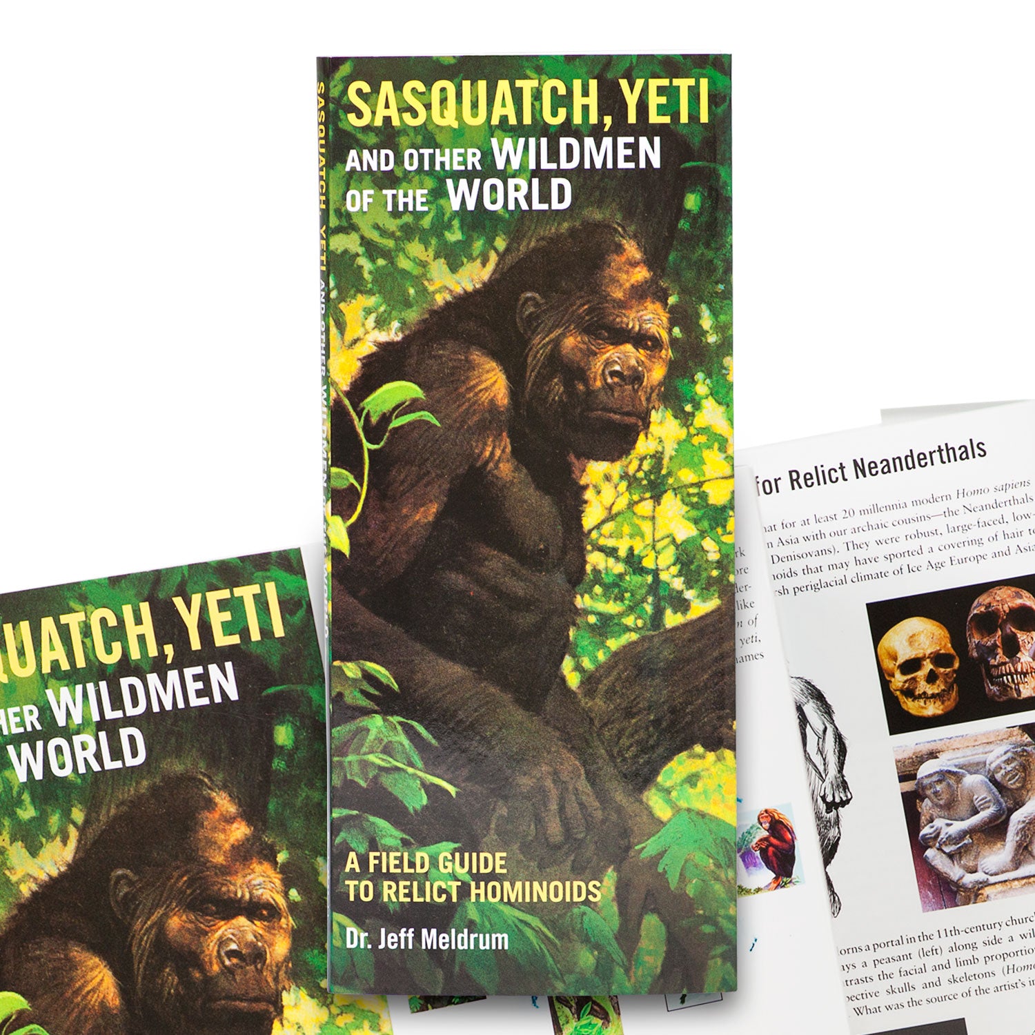 Sasquatch, Yeti and Other Wildmen of the World: A Field Guide - Sasquatch The Legend