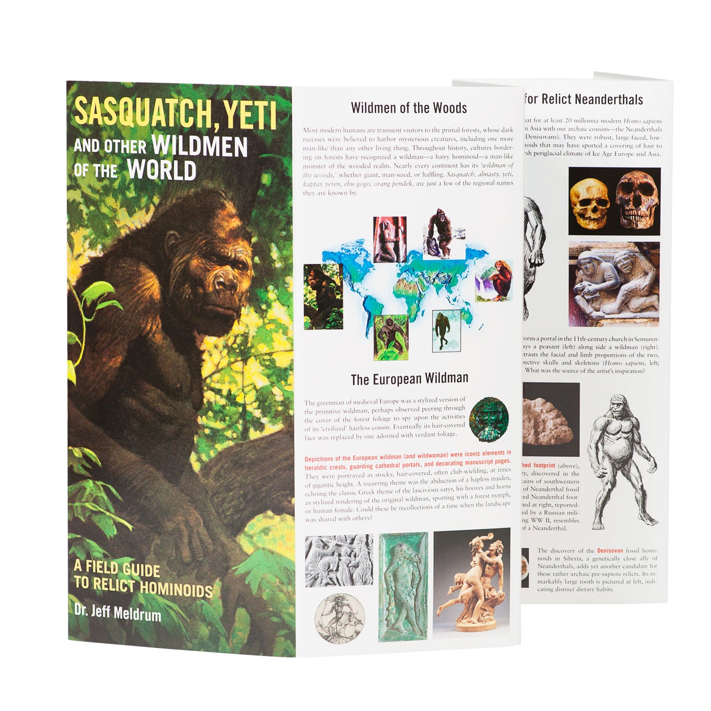 Sasquatch, Yeti and Other Wildmen of the World: A Field Guide - Sasquatch The Legend