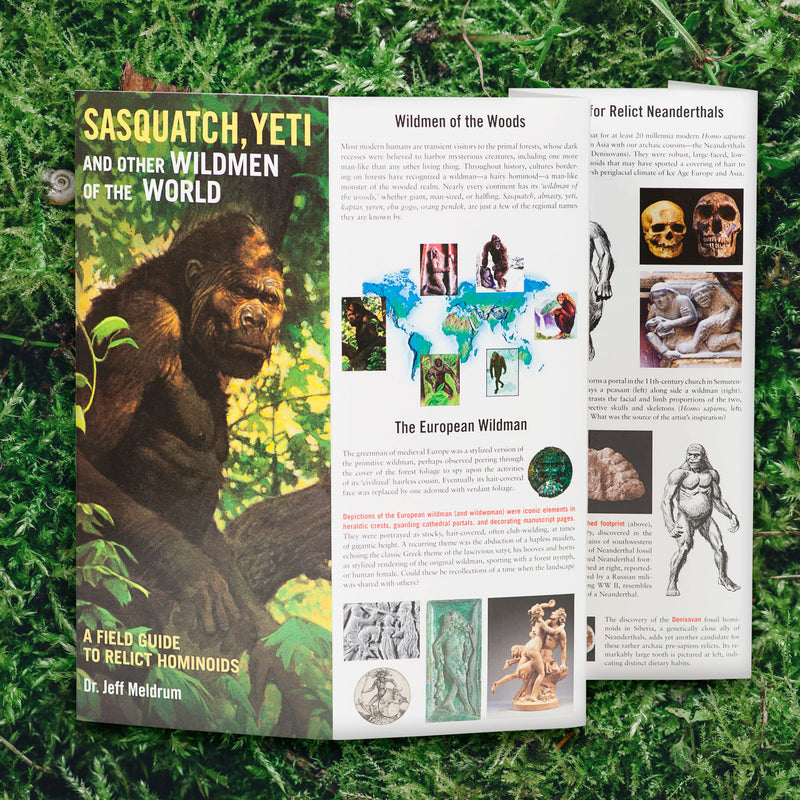 Sasquatch, Yeti and Other Wildmen of the World: A Field Guide - Sasquatch The Legend