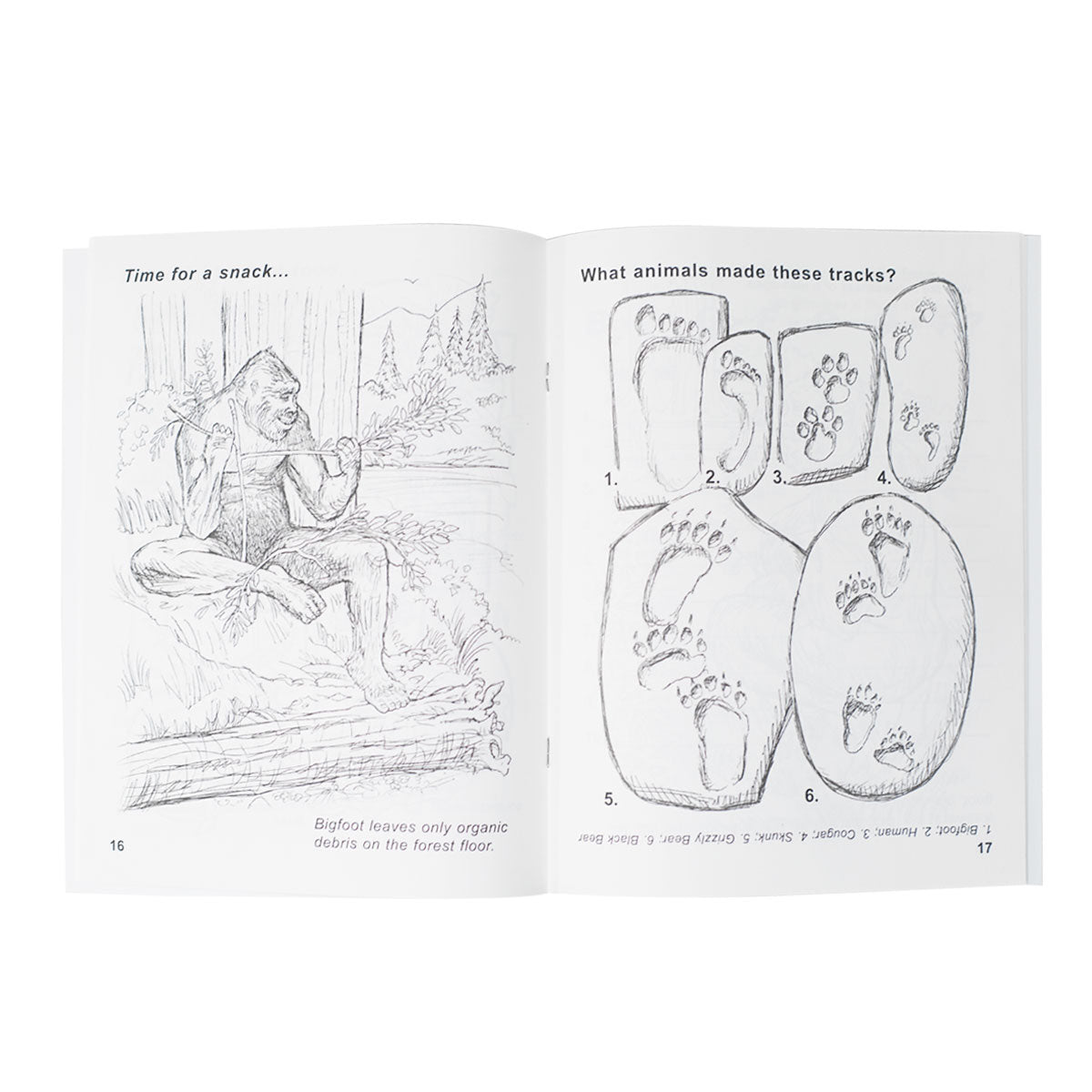 The Bigfoot Discovery Coloring & Activity Book - Sasquatch The Legend