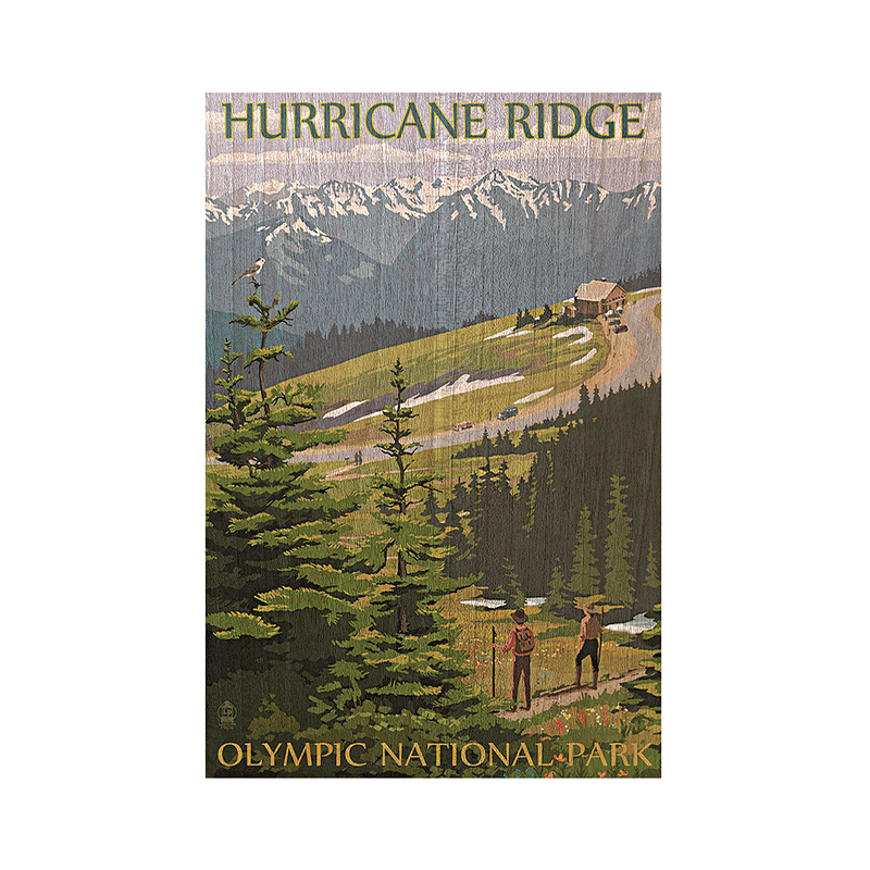 Olympic National Park WA, Hurricane Ridge Postcard - Sasquatch The Legend