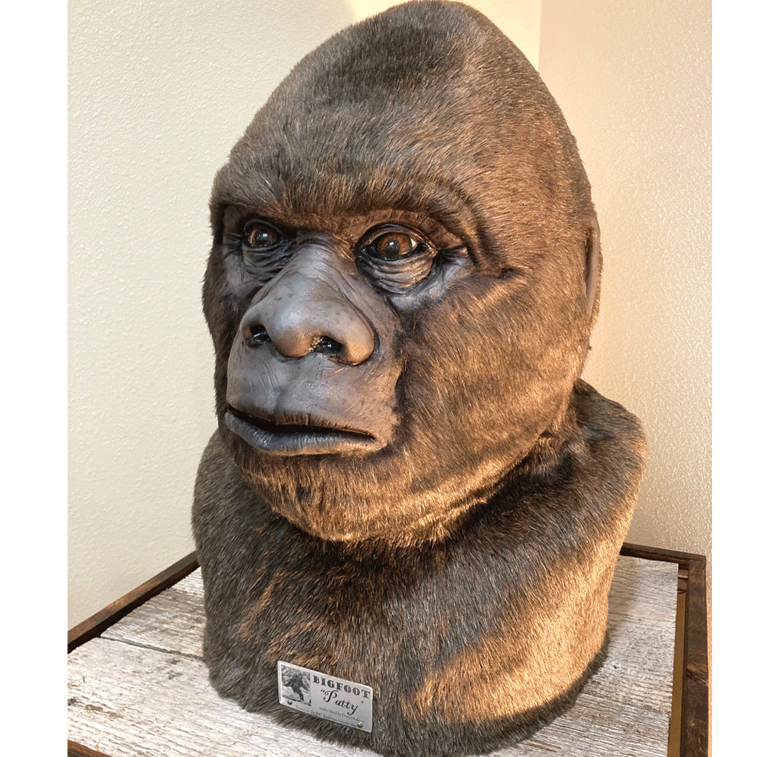 Life Size "Patty" Replica Head - Bigfoot - Sasquatch The Legend