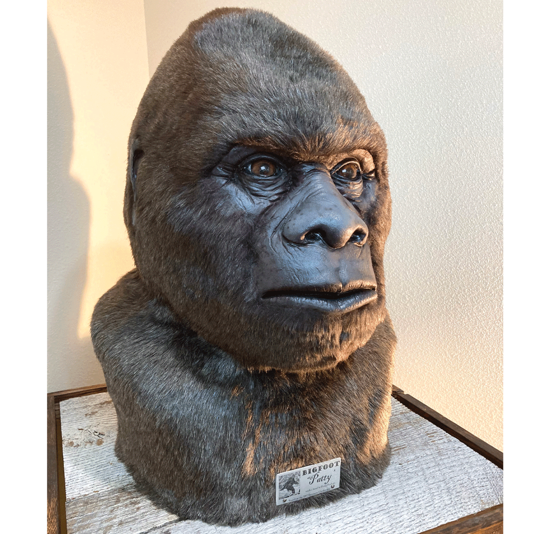 Life Size "Patty" Replica Head - Bigfoot - Sasquatch The Legend